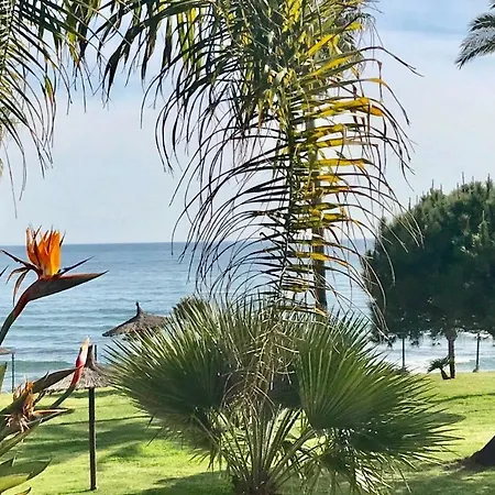 Apartment Mi Capricho Beachfront- P301 With Sea View *